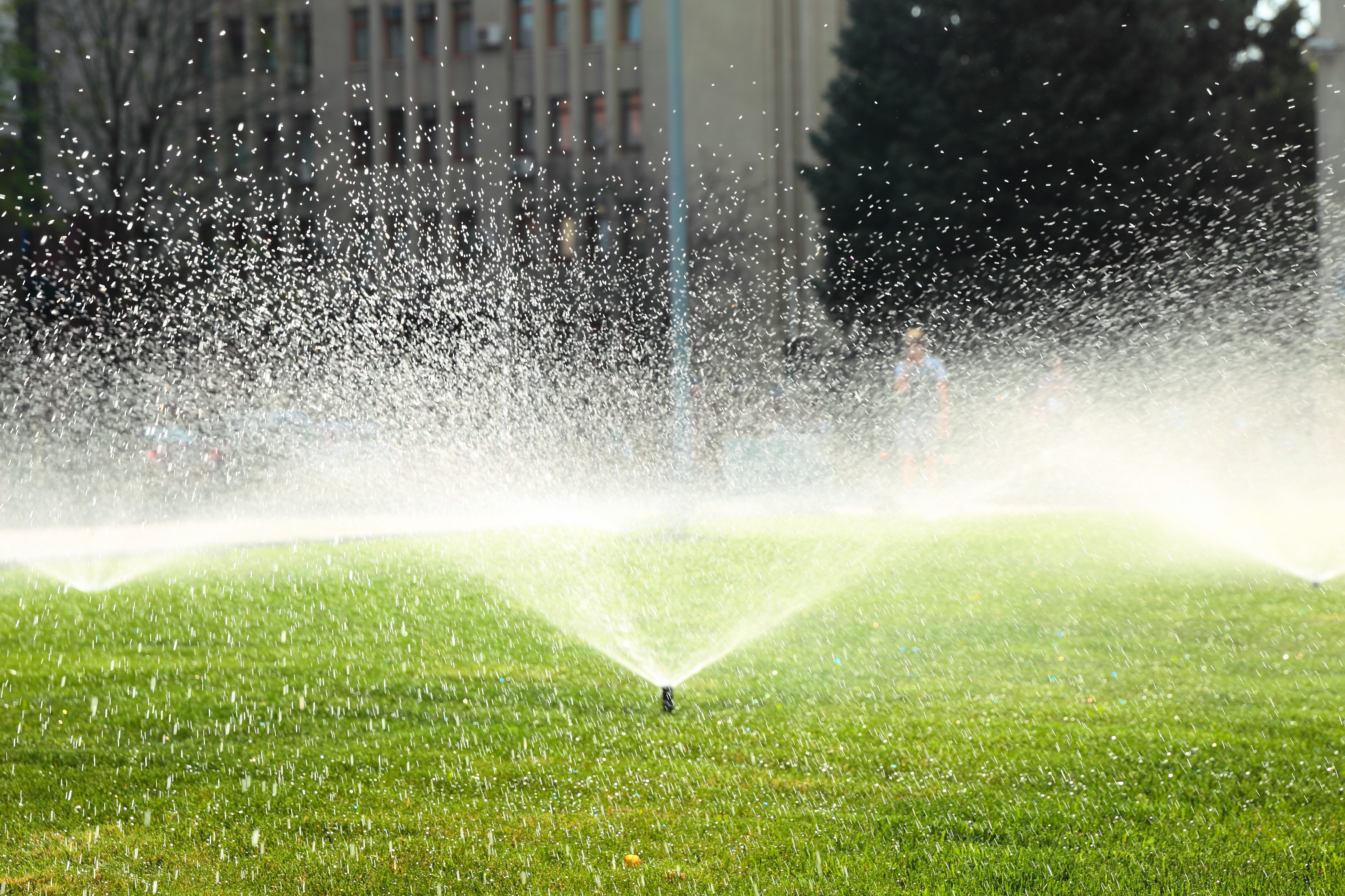garden sprinkler on the green lawn | Pinnacle Landscape